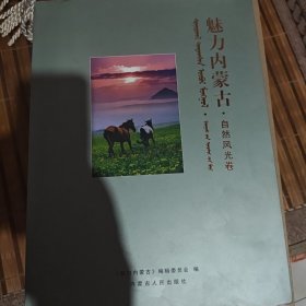 魅力内蒙古： 奇石宝石卷、名胜旅游卷、自然风光卷、民俗风情卷、精品文物卷。1一5卷全