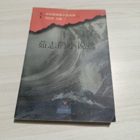 茹志鹃小说选