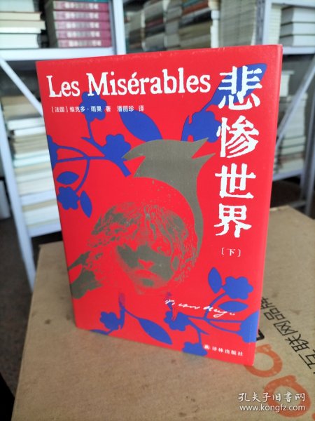 悲惨世界（雨果精选集）人类苦难的百科全书 翻译家潘丽珍经典译本,一本下册