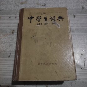 中學(xué)生詞典