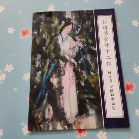红楼梦金陵十二钗：何雨春中国彩墨画集