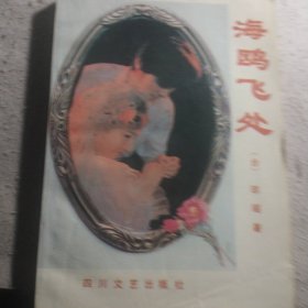 海鸥飞处