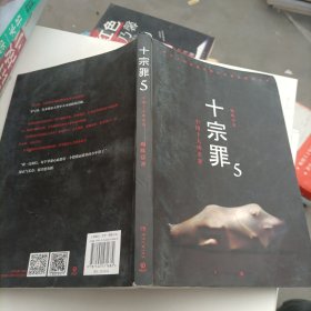 十宗罪5：中国十大凶杀案