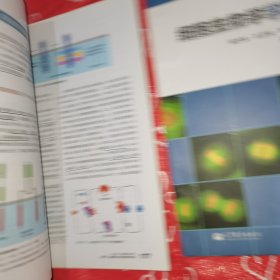 细胞生物学（第4版）十细胞生物学学习指南2本合售