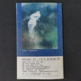 微型小说选刊 1995 6