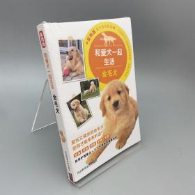 和爱犬一起生活:金毛犬