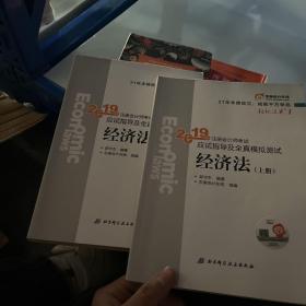 注会会计职称2019教材辅导东奥2019年轻松过关一《2019年注册会计师考试应试指导及全真模拟测试》经济法（上下册）