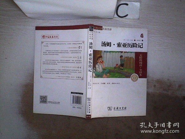 经典名著 大家名译：汤姆·索亚历险记（无障碍阅读 全译本 素质版）