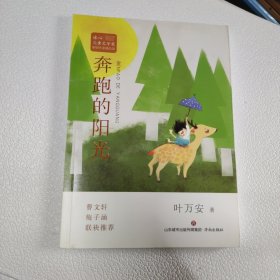 冰心儿童文学奖新锐作家精品馆:奔跑的阳光