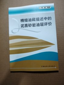 精细油藏描述中的泥质砂岩油层评价