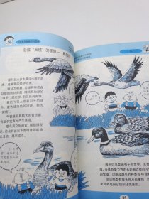 卡通自然奥秘百科图典:鸟