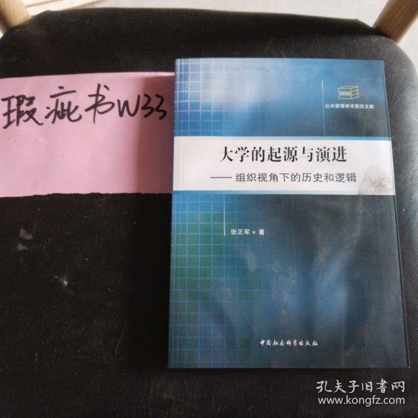 大学的起源与演进：组织视角下的历史和逻辑（公共管理学术前沿文库）