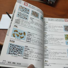 中药饮片传统鉴别图册（常用饮片部分）（全彩图）