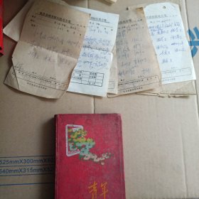 50年代中医记录本，大量中医药方。