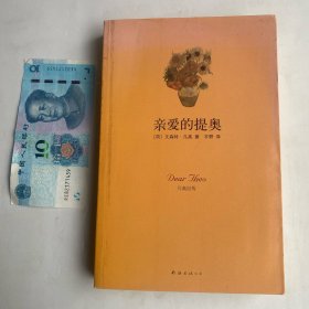 亲爱的提奥：凡高自传