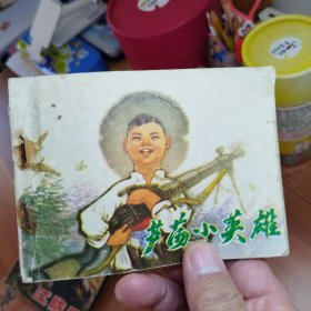 芦荡小英雄