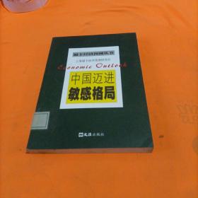 中国迈进敏感格局——福卡经济预测丛书