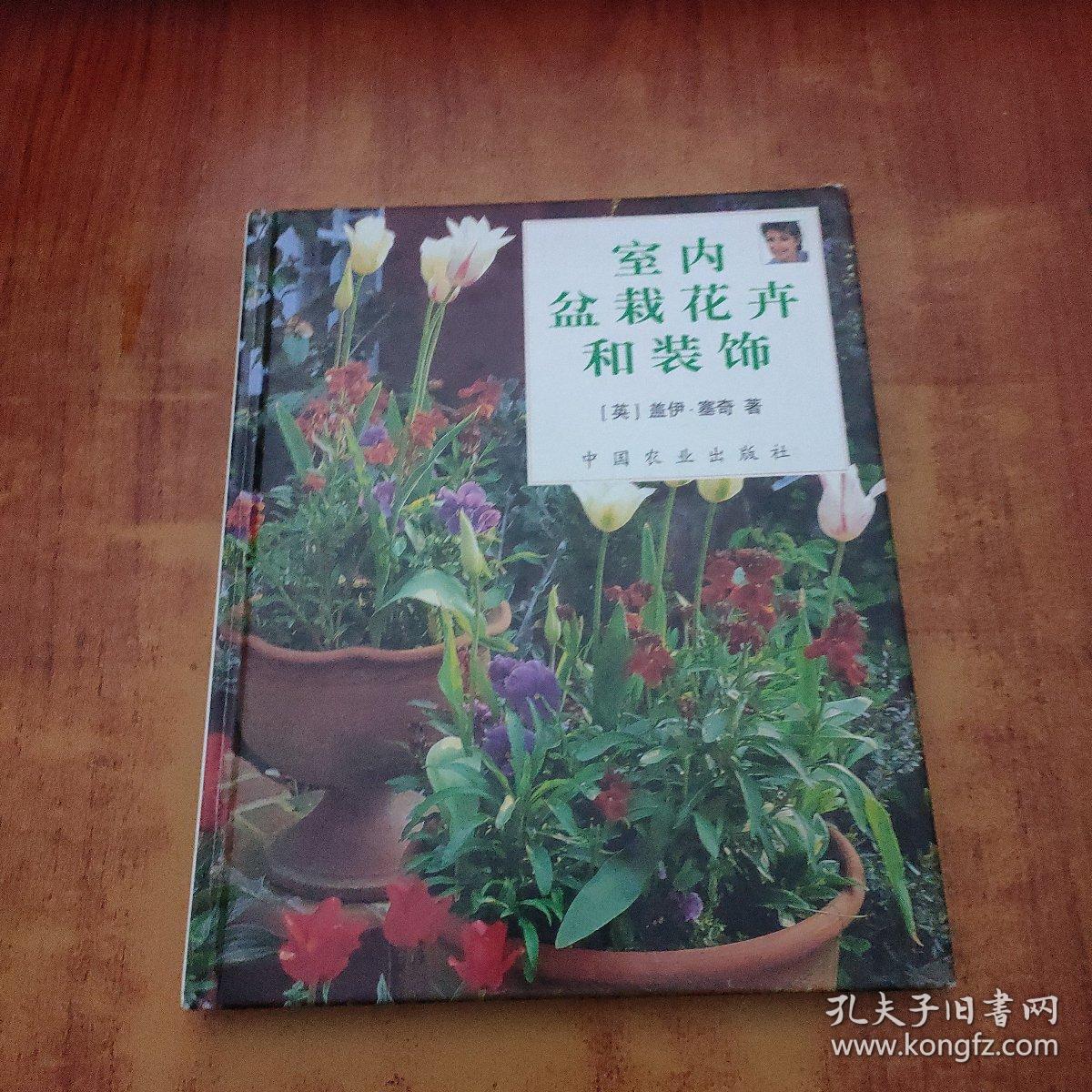 室内盆栽花卉和装饰