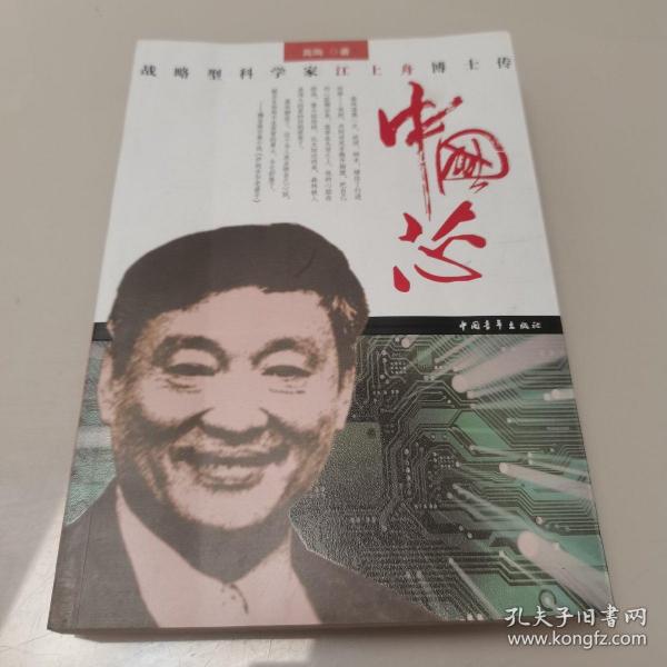 中国芯：战略型科学家江上舟博士传