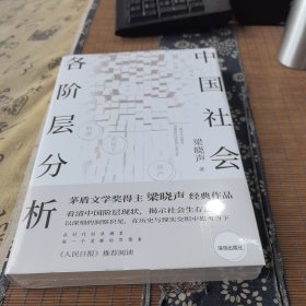 中国社会各阶层分析