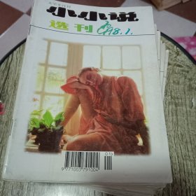 小小说选刊1998年缺第3、4期【22本合售】