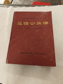 广东省丰顺县埔仔寨 瑟瞻公族谱（书棱，前后皮破，前后几页有黄斑，有点破，内容完整，品相如图）