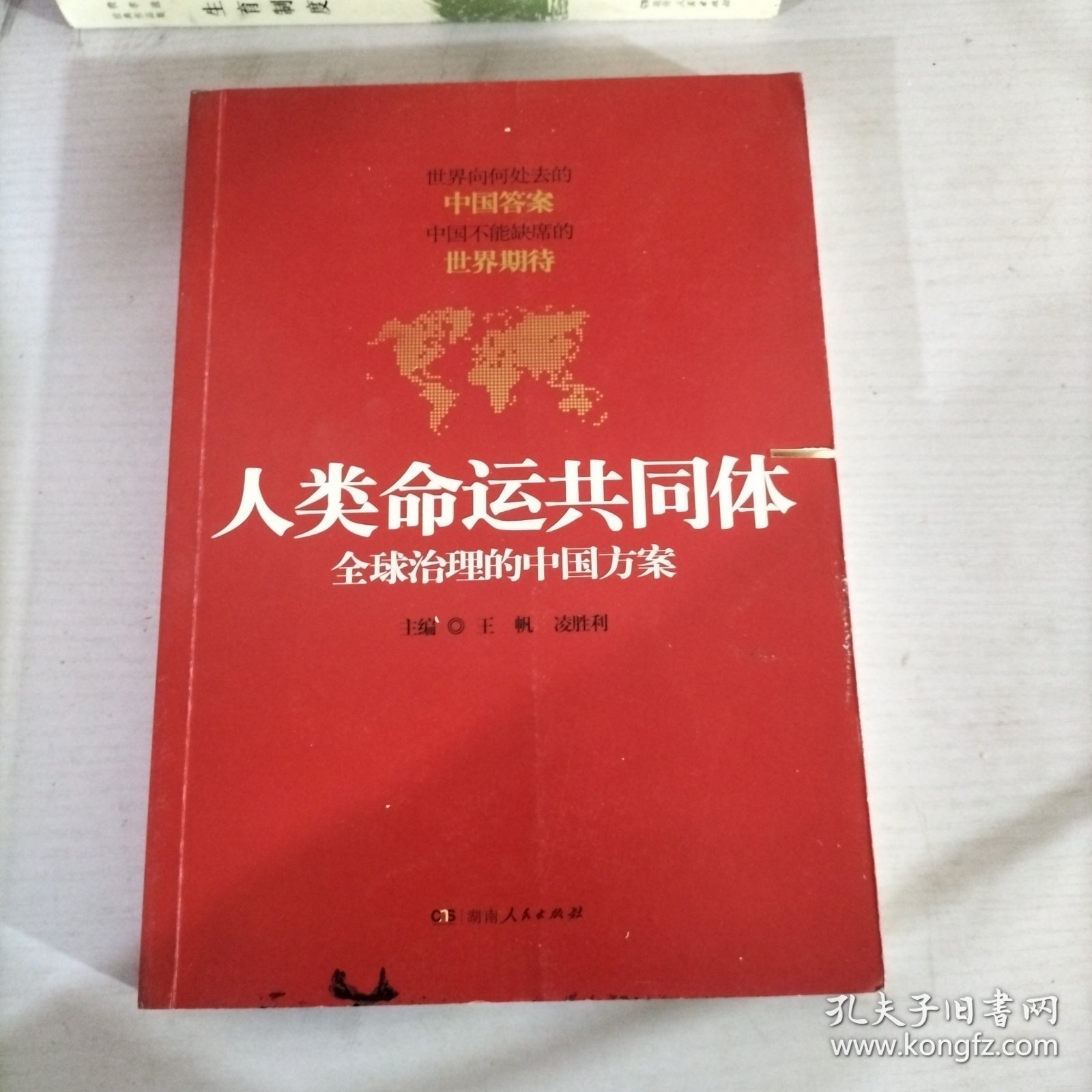 人类命运共同体：全球治理的中国方案