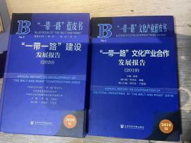 一带一路蓝皮书 一带一路建设发展报告2020 柴瑜 王晓泉 主编