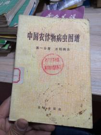 中国农作物病虫图谱（第一分册 水稻病虫）