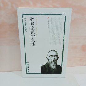 孙禄堂武学集注 拳意述真