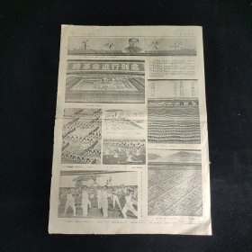 中国青年报 1965年9月14日 4版全