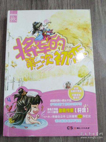 将军的第二次初恋