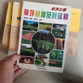 草坪全景：草坪草种及其品种