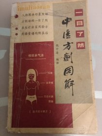 一目了然中醫(yī)方劑圖解