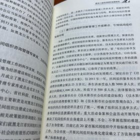 民间组织蓝皮书：中国民间组织报告（2013）