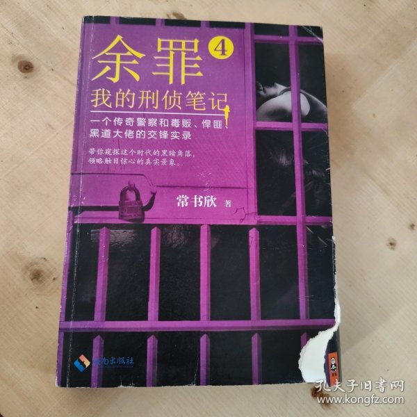 余罪4：我的刑侦笔记