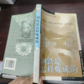 钢铁是怎样炼成的