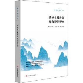 县域乡村教师有效培训研究【正版新书】