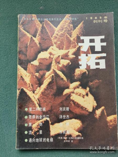 16开，1985年（创刊号）有发刊词〔开拓〕