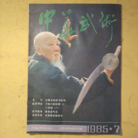 中华武术1985年7期