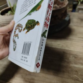 两栖与爬行动物：全世界400多种两栖与爬行动物的彩色图鉴