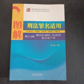 图解刑法罪名适用（第3分册）侵犯公民人身权利、民主权利罪、侵犯财产罪