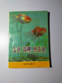 金鱼热带鱼金鱼锦鲤12123
