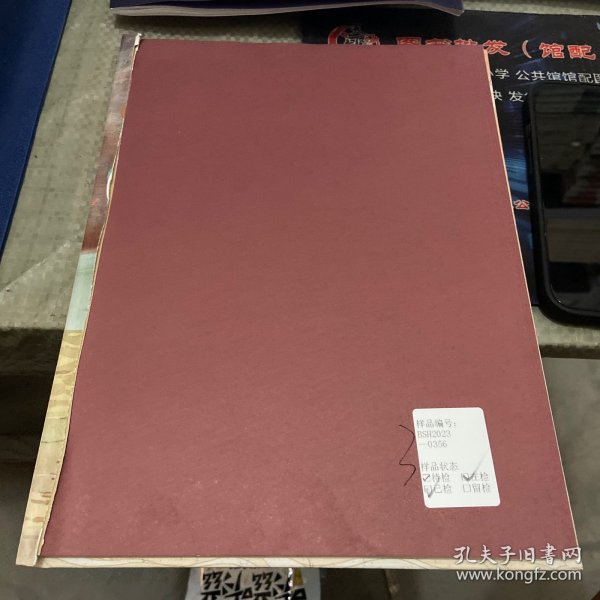 写给孩子的世界遗产 丝绸之路·莫高窟·大运河