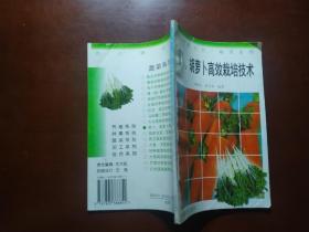 萝卜、胡萝卜高效栽培技术