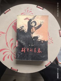战斗的青春