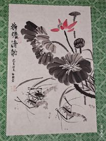 荷塘清韵