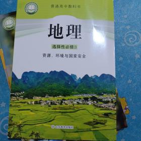 高中地理选择性必修3资源环境与国家安全