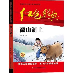 红色经典—微山湖上 中国红色儿童文学经典小学系列