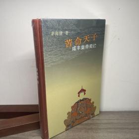 苦命天子：咸丰皇帝